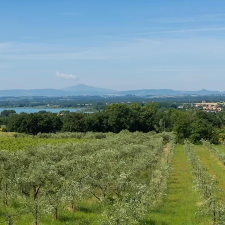 Pieve Confini Sleeps 14 Pool Air Con Wifi فيلة